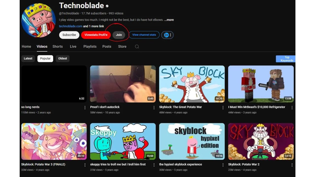 A screenshot of Technoblade's YouTube channel page, featuring his iconic pig avatar and popular videos related to Minecraft.