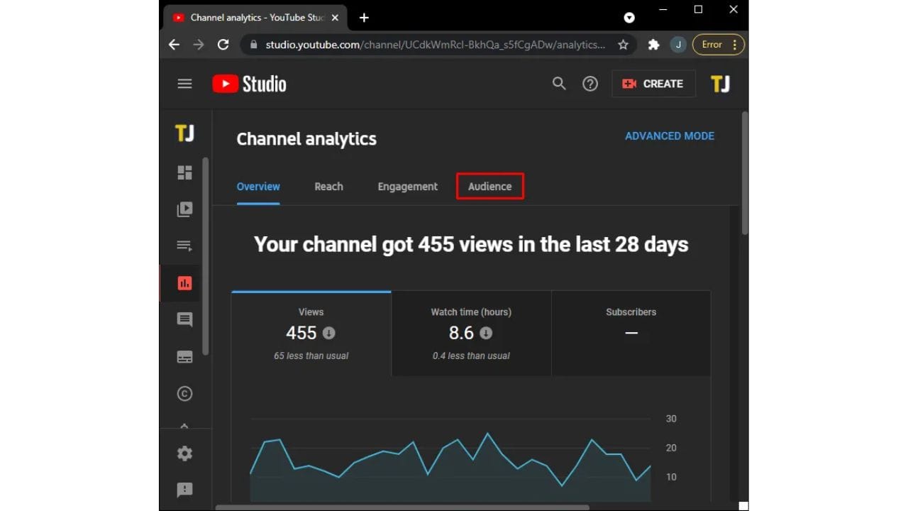 A screenshot of YouTube Studio's Analytics tab, specifically highlighting the "Audience" section. The screen shows various metrics related to the channel's audience demographics, including age, gender, and geographic location.