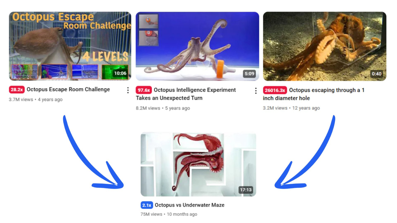 A YouTube thumbnail featuring an octopus experiment by Mark Rober.